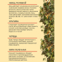 Травяной чай (Сбор) Кавказа № 8 Травы очищающие Чаи Кавказа, 150 гр