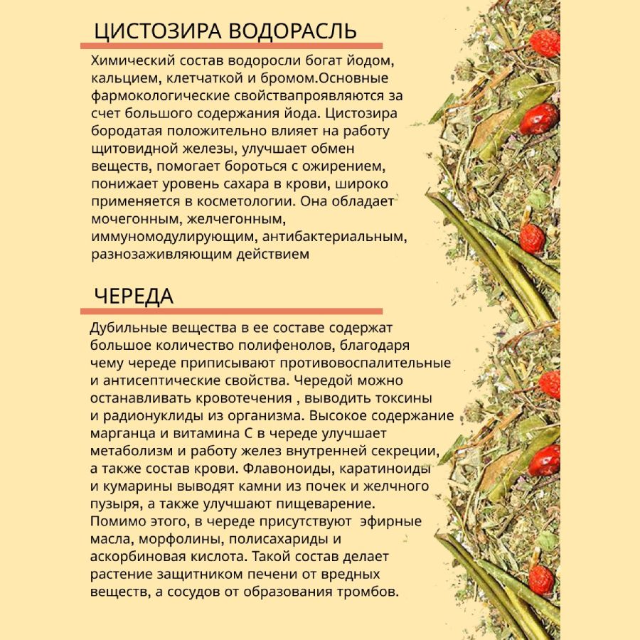 Травяной чай (Сбор) Кавказа № 17 Травы для щитовидки Чаи Кавказа, 150 гр