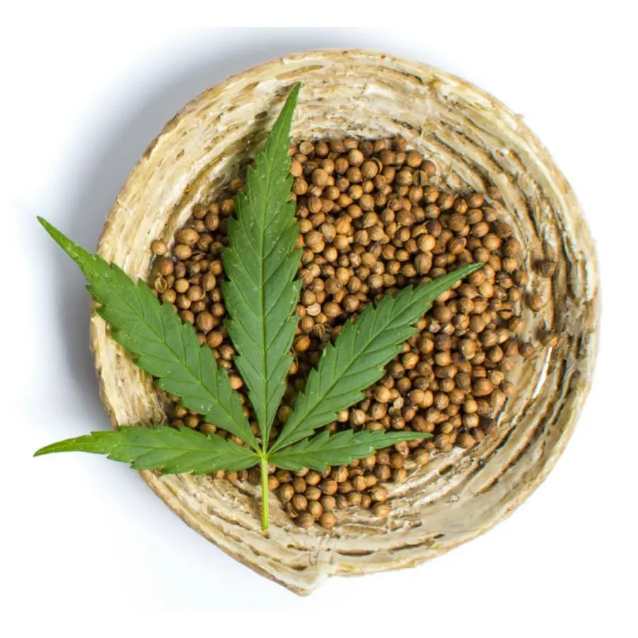 семена марихуаны заказать спб