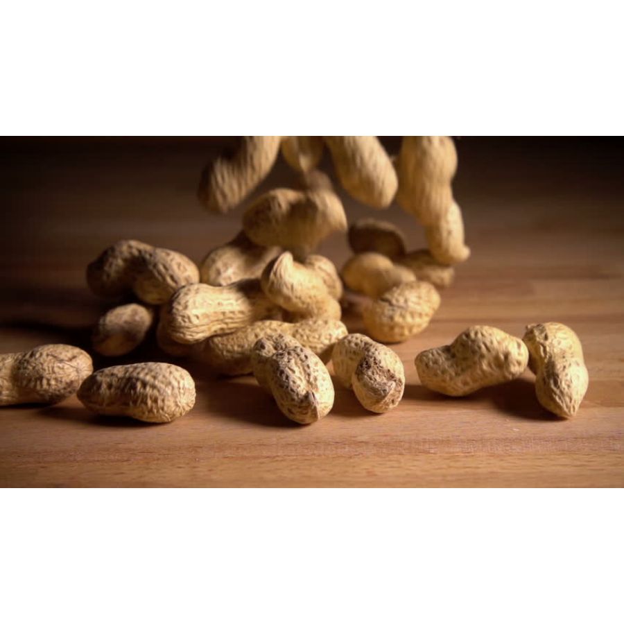 Арахис в скорлупе, орехи, 250 гр