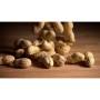 Арахис в скорлупе, орехи, 250 гр