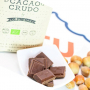 Органический шоколад Премиум из необжаренных какао-бобов Джандуя без глютена Cacao Crudo, 50 гр