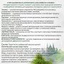 клеточный сок пихты сибирской с чагой, живой прямого отжима, органикмиръ, 100 мл - organicмиръ 88