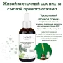 клеточный сок пихты сибирской с чагой, живой прямого отжима, органикмиръ, 100 мл - organicмиръ 84